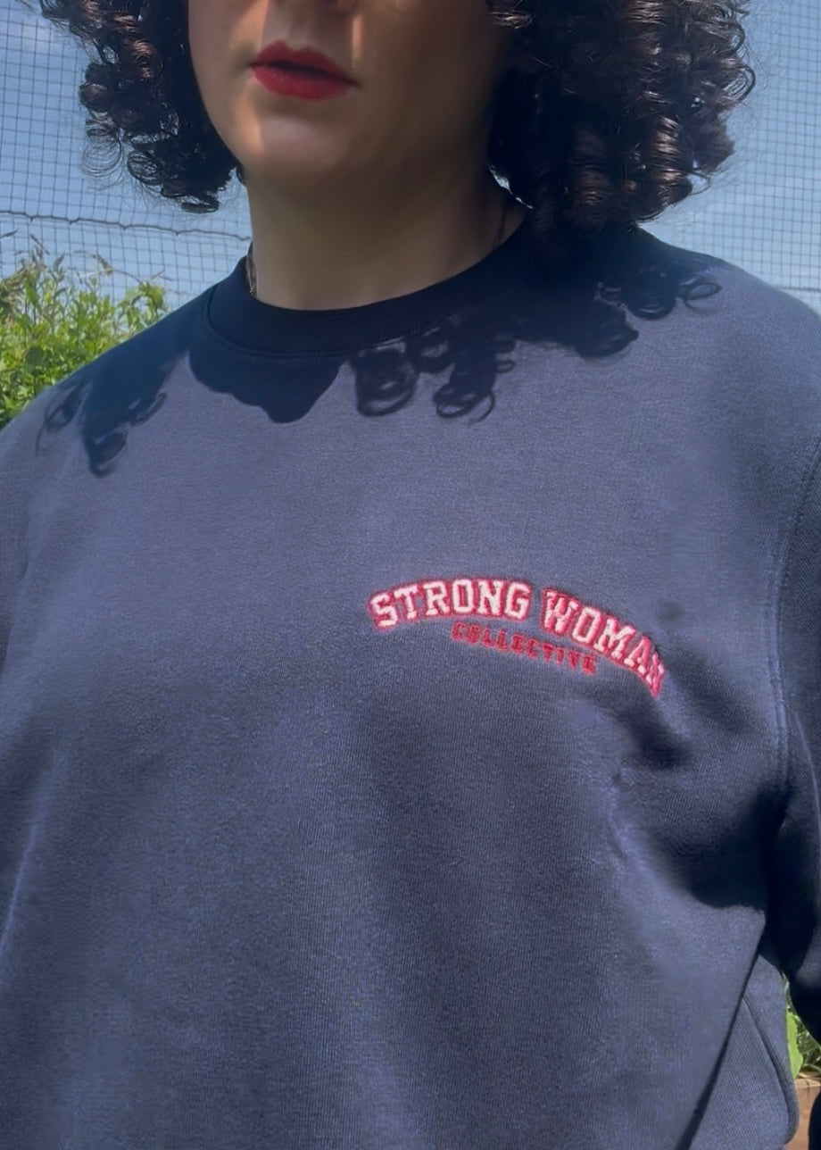 Navy with pink and red embroidery Light sweatshirt