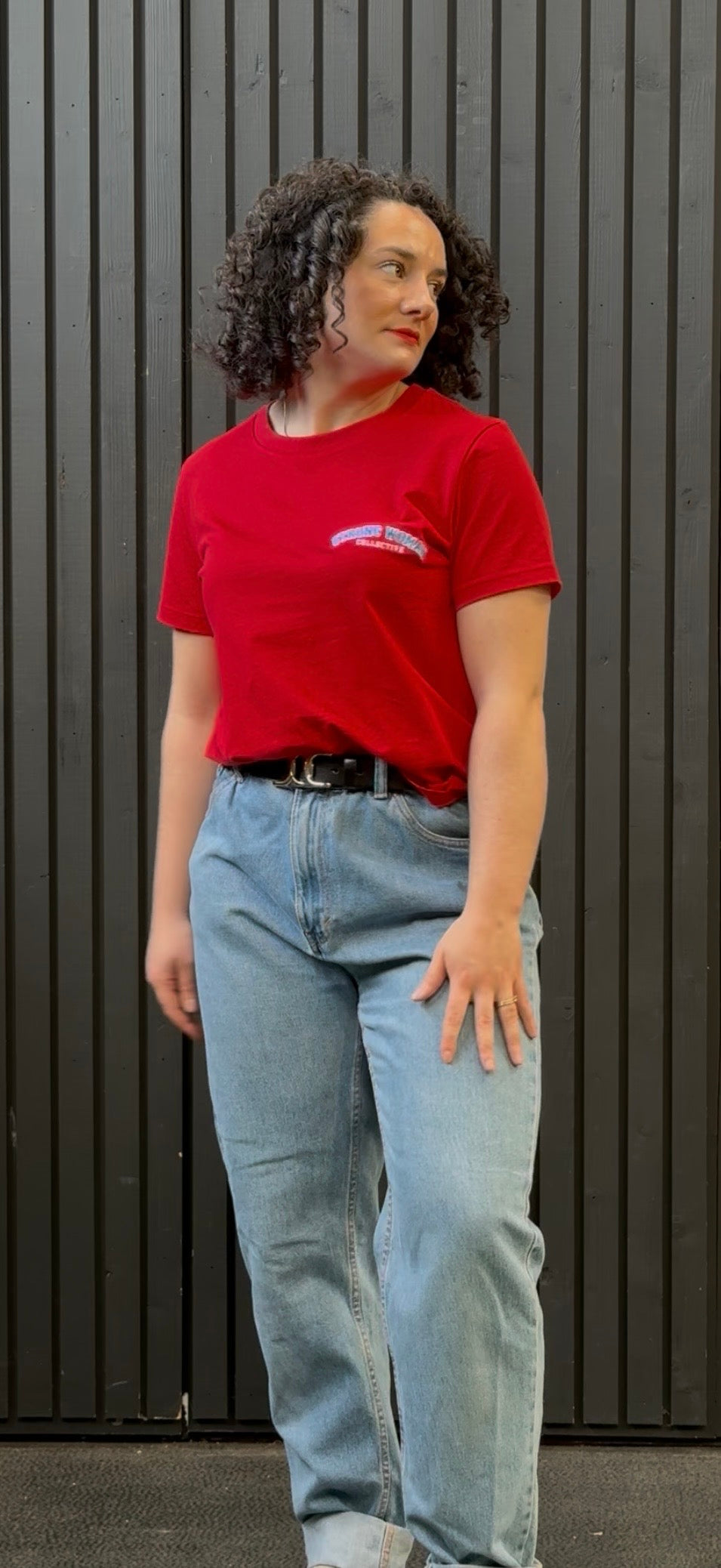 Assorted colours to choose -Women fit embroidery tee